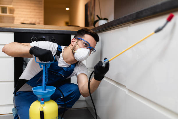 Best Affordable Pest Control Services  in Gonzales, TX