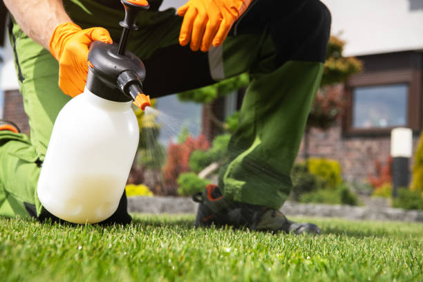 Flea Control Services in Gonzales, TX