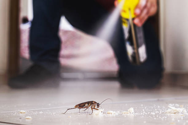 Best Mosquito Control Services  in Gonzales, TX