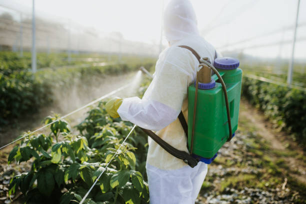 Best Flea Control Services  in Gonzales, TX